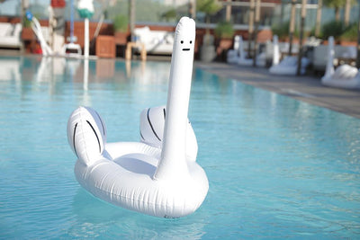 Ridiculous Inflatable Swan-Thing Pool Float
