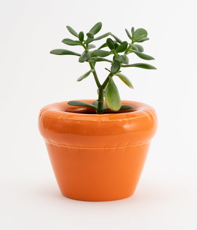 Planter 'PIERRE' - Mandarin (Gloss)