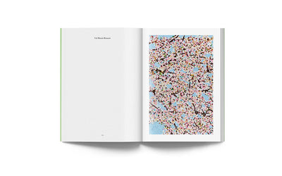 Damien Hirst: Cherry Blossoms