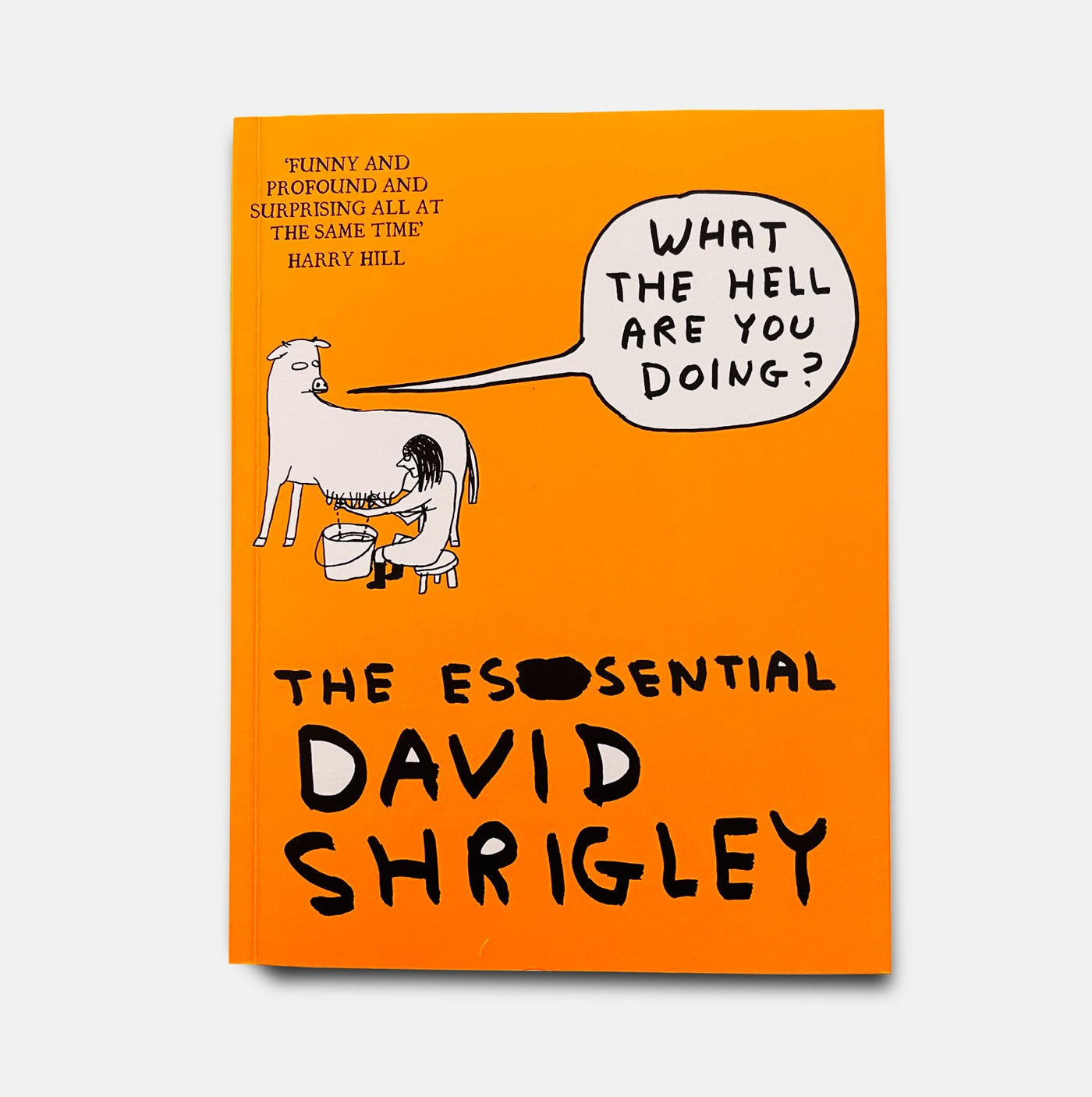 "What the Hell Are You Doing?" The Essential David Shrigley